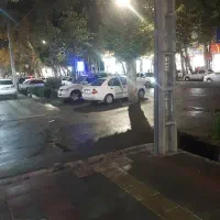 گاوداری-3-هکتاری-با-دام-فعال-استان-البرز-نظراباد