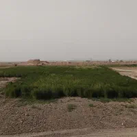 جارو