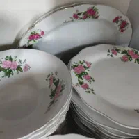 سرویس کامل گل سرخی