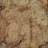 برگ زرد شیرین و دو مزه|خوردنی و آشامیدنی|شیراز, زرهی|دیوار