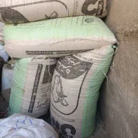 جو بذری گوهران