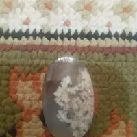 سنگ شجر