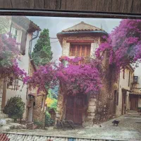 قاب عکس فانتزی