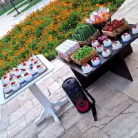 فروش خط 919