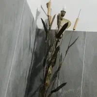 اباژور .لاله