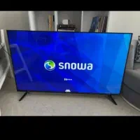 ال ای دی ۵۵اسنوا