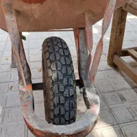 2عددفرغون سالم