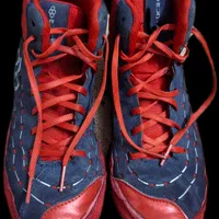 کفش کشتی سایز 36