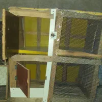 قفس کبوتر|لوازم جانبی حیوانات|آبدانان, |دیوار