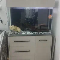 فروش آکواریوم