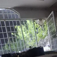 مغازه تجاری