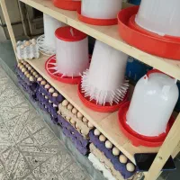 دستگاه جوجه کشی داتیکس دماوند|لوازم جانبی حیوانات|گرگان, |دیوار