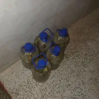 خیار شور ترد و خوشمزه