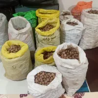 گردو گردو