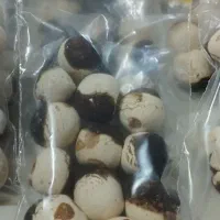کشک قارا