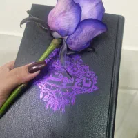 کتاب رمان همراه با جلد دوم