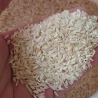 برنج علی کاظمی ضعیف