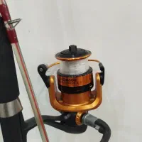 لنسر ماهیگیری