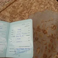 درود ۱ عدد سگ اشپیز تییر|سگ|پردیس, |دیوار