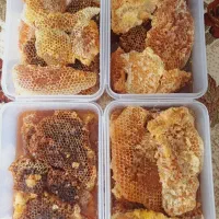 عسل گون|خوردنی و آشامیدنی|اهواز, پردیس|دیوار