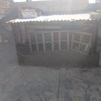 قفس پرنده