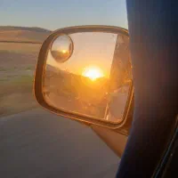 کبوتر سیاه پاپر