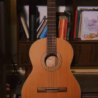 گیتار پارسی + هاردباکس