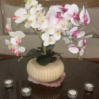 گلدان گل ارکیده سفید مصنوعی شیک با گلدان صدفی|صنایع دستی و سایر لوازم تزئینی|تهران, اقدسیه|دیوار