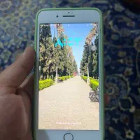ایفون ۸پلاس|موبایل|اردبیل, |دیوار