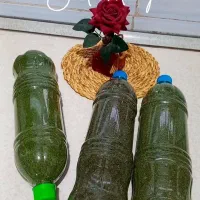 سبزی خرده شده|خوردنی و آشامیدنی|رشت, انصاری|دیوار