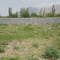 اجاره مسکونی