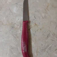 چاقو میوه خوری کارد میوه خوری