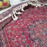 فرش دست بافت|فرش|اهواز, شهرک دانشگاه|دیوار