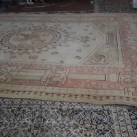 یک قطعه قالی هخامنشی اصل|فرش|اهواز, کمپلو جنوبی|دیوار