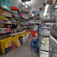 کارگر ساده پرنده فروشی پت شاپ|استخدام سرایداری و نظافت|تهران, خواجه نظام الملک|دیوار