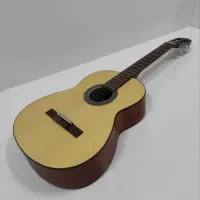 گیتار پارسی در حد