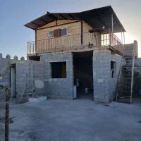 باغ-دامداری-مزرعه-پرورش-شتر-مرغ