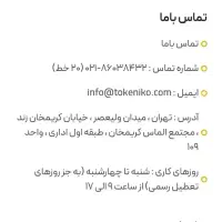 توکنیکو طلای دیجیتال