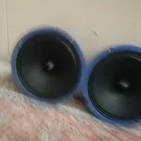 میدرنج ساج اصلی