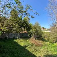 مسکونی در لفور|فروش زمین و ملک کلنگی|آلاشت, |دیوار