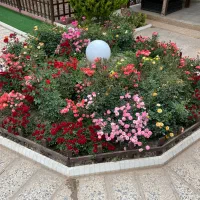 استخدام بازنشسته آقا|استخدام سرایداری و نظافت|کرج, شاهین‌ویلا|دیوار