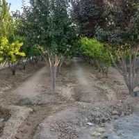 باغ-چهار-دیواری-600متری