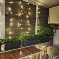 گل و گیاه طبیعی