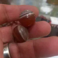 مهره های دو قلوی سلیمانی|بدلیجات|تهران, جوادیه|دیوار