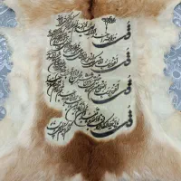 دیوار کوب پوست