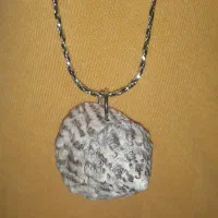 فروش پلاک صدف دریایی|بدلیجات|قائم‌شهر, |دیوار