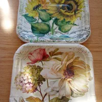 ارزان سرای پایدار|ظروف نگهدارنده، پلاستیکی، یکبارمصرف|ایلام, |دیوار