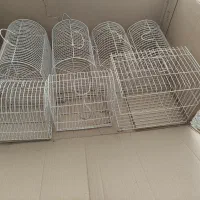 7 عدد قفس سهره