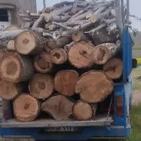 هرس کردن گردو ومیوه