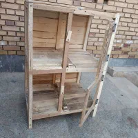 کجه کبوتر نو